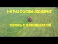 3-й раз косим люцерну с плющилкой