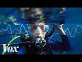Marine Sound and Its Effects