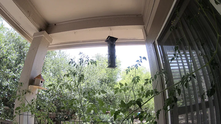 The Feeder