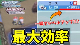 ポケモンbdsp 超簡単にレベルを上げる天才的育成法が発見された件 マジで一瞬でlv50まで行きます ダイパリメイク 経験値稼ぎ Youtube