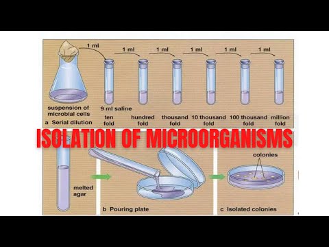 ISOLATION OF MICROORGANISMS - the methods and techniques
