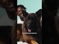 球員踢歐洲盃惹到牧羊犬？
