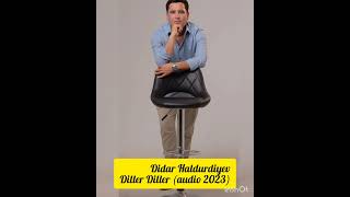 Didar Haldurdiyev Diller Diller (audio 2023) #premyera #2023 #instagram #trend #music