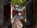 Goofy Memes