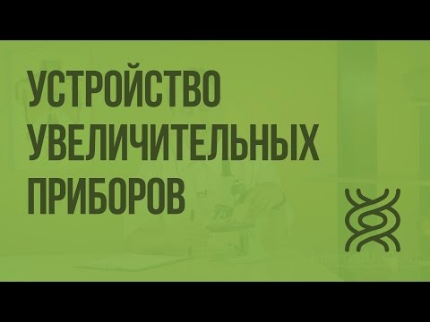 Устройство увеличительных приборов. Видеоурок по биологии 5 класс