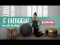 5 exercícios fáceis para gestantes com a bola de pilates | 10Min - Pri Leite