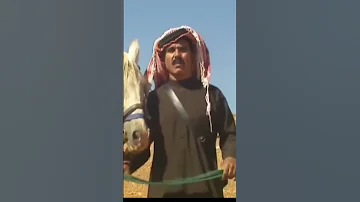 النجم روحي الصفدي 