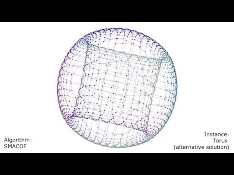 Multidimensional scaling algorithms in action