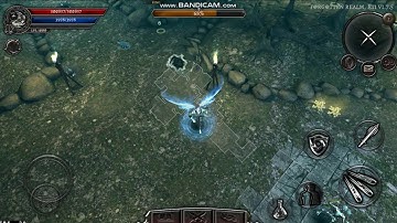 ANIMA - GOLD FARMING -