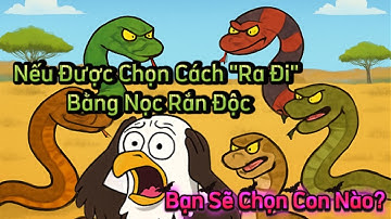 Nếu Được Chọn Cách "Ra Đi" Bằng Nọc Rắn Độc, Bạn Sẽ Chọn Con Nào?