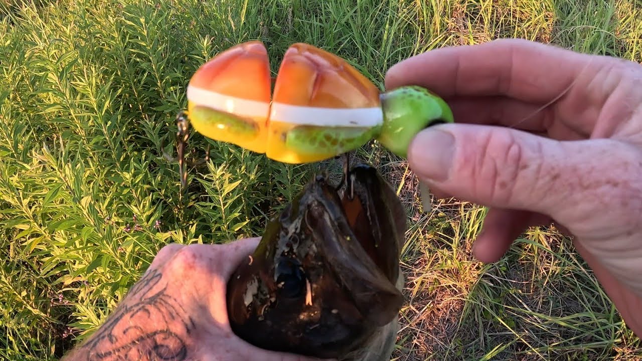 Bass fishing with a turtle lure #swimbaitjunkies