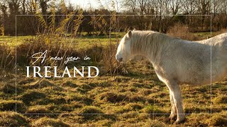 Life in Ireland | Cosy Vlog | Home Craft Ideas | Irish Farmhouse | Artist Studio
