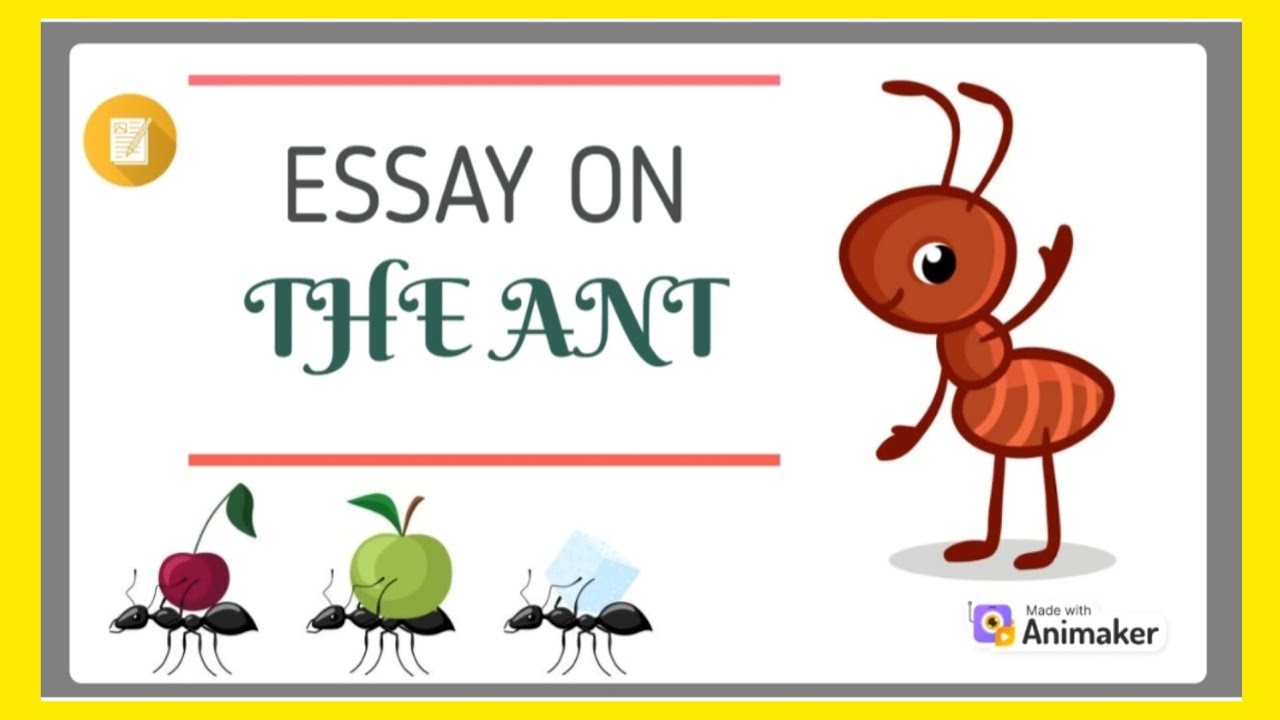 essay on ant for class 1