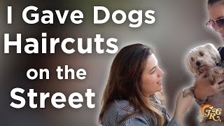 I Gave Random Dogs Haircuts on the Street | Jess Rona Grooming