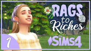 COTTAGECORE DREAM??? // Rags to Riches #1