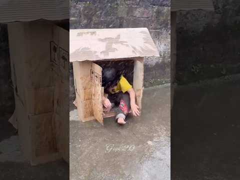 Cjutaki ka chhota ghar😂#shorts