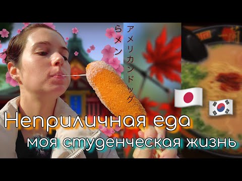 лучший рамен токио / корн-дог с сыром / учёба / японские храмы