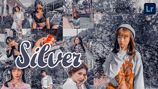 Silver Preset I Lightroom Mobile Presets Free DNG I Free Lightroom Mobile Tutorial 2020