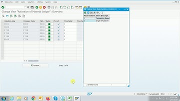 Material ledger basic overview about the price control
