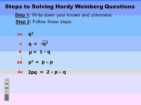 Hardy Weinberg Instructions
