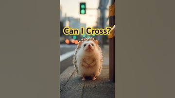 [Introvert Me] Can I Cross Now?