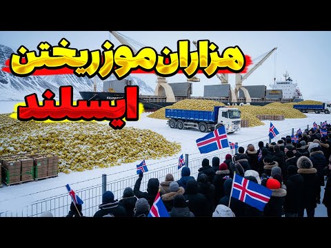 آنها هزاران ت ن موز را در سرمای منفی 38 درجه پرورش دادند نتیجه این کار شوکه کننده بود