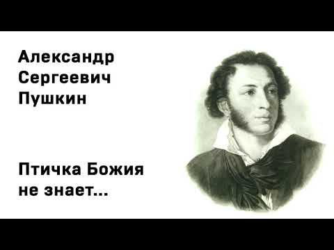 Александр Сергеевич Пушкин  Птичка Божия не знает Учи стихи легко Аудио Стихи Слушать Онлайн