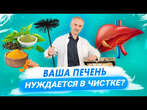 Видео: Чистка печени - факты и мифы / Как влияют на печень лекарства, продукты и алкоголь / Доктор Виктор