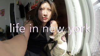 Life In New York | vlog | story time: how I got scammed by a celebrity salon! by ohnobea 261 views 6 months ago 13 minutes, 3 seconds