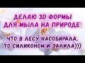 Делаю силиконовые формы для мыла на природе 🌲 Шишки, ранетки и прочее 🌲 Мыловарение