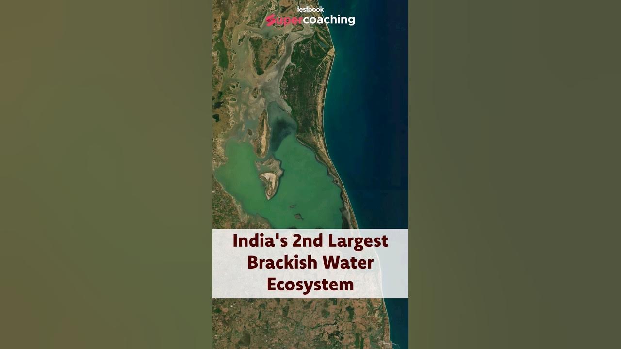 Pulicat Lake Second Largest Brackish Water Lake In India Pulicat pulicat-lake-second-largest-brackish-water-lake-in-india-pulicat