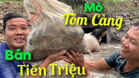 Cả xóm kéo nhau đi bắt ổ TÔM CÀNG XANH khổng lồ bán luôn tiền triệu | Cù Lao Dung Vlogs #141