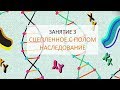 Занятие 3 |  Сцепленное с полом наследование