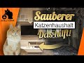 ðŸ”¥Sauberer Haushalt mit Katzen | 5 Tipps | Putzroutine | Saugroboter zum Katzenhaare entfernen?
