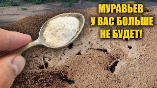 МУРАВЬИ БОЯТСЯ ЭТОГО КАК ОГНЯ! СРАЗУ УЙДУТ НАВСЕГДА! БЫСТРЫЙ СПОСОБ КАК ИЗБАВИТЬСЯ ОТ МУРАВЬЕВ