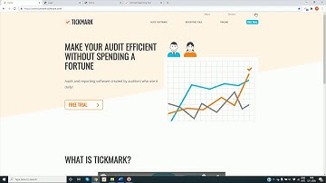 2 Tickmark Reporting Tool: User Interface