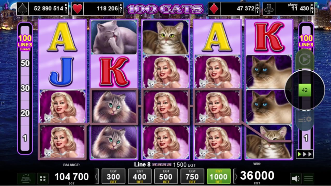 100 Cats 🐾 100 Spins Demo – Full Screen Cat Chaos?