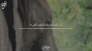Surah Al-Fil |  سورة الفيل Arabic and English Translation