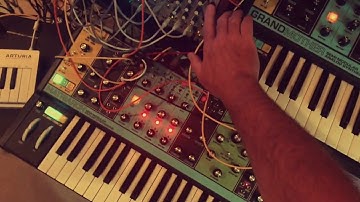 "Mesmerelda" Moog Matriarch, Grandmother, DFAM, Mother 32, Bloom, 0-Coast, Morphagene, MS10, Magneto