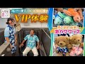 【贅沢体験】ハワイ便「FLYING HONU」でVIP気分を味わう!さらには限定グッズもご紹介!#ana #ca #ハワイ #hawaii