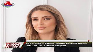 « Tu nous gonfles » : Amandine Pellissard violemment attaquée  un célèbre clan de Familles nombreuse