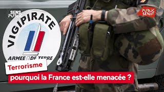 Terrorisme : pourquoi la France est-elle menacée ?