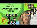 Genetics and Pedigree Diagrams Quiz