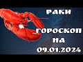 НОВЫЙ ГОРОСКОП НА ЗАВТРА/ РАКИ/ 09.01.2024