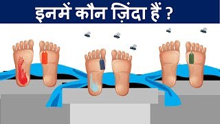 Paheliyan To Test Your Logic | Riddles in Hindi | Mind Your Logic