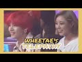 Wheein × Taehyung wonderful and lovely moments [WHEETAE]