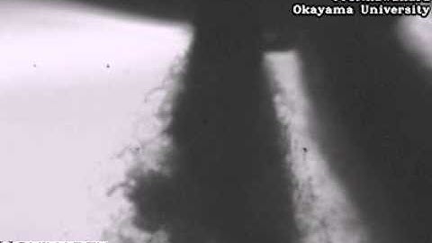 Atomization Process of Fuels Near the nozzle outlet