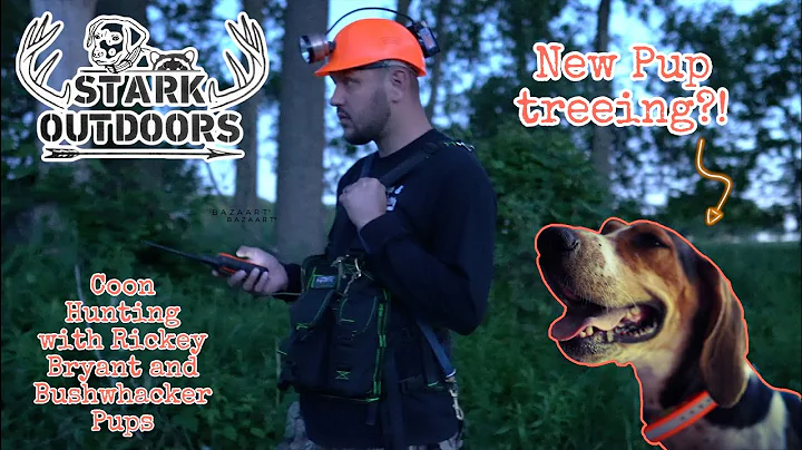Coon Hunting with World Champion Handler Rickey Br...