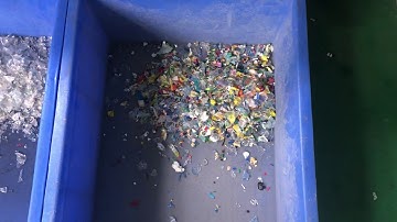 PET Flakes color separating 20200401 emily@angelon.com.cn