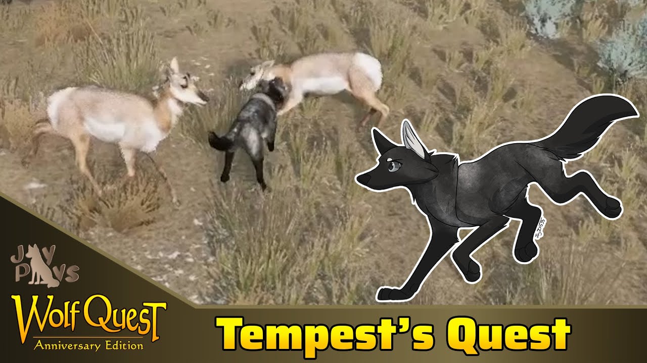 Choosing A New Den On Amethyst Mountain WolfQuest Wayfinders choosing-a-new-den-on-amethyst-mountain-wolfquest-wayfinders